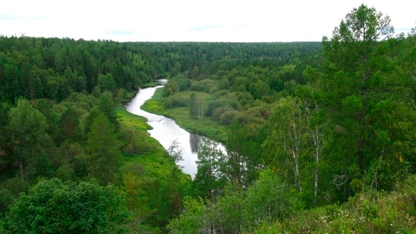 Площадь парка – 12 000 гектаров