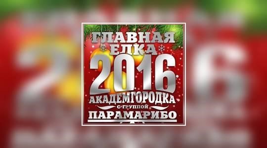 Снег в большом городе. Чем заняться на зимних каникулах?